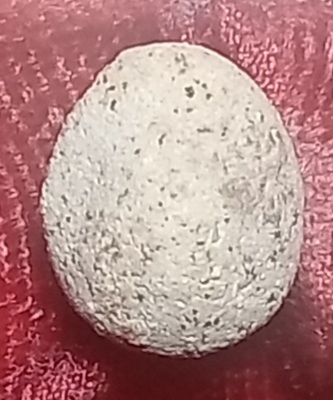 20250715_202106.jpg