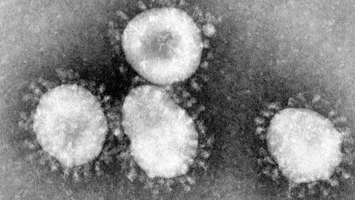 coronavirus.jpg