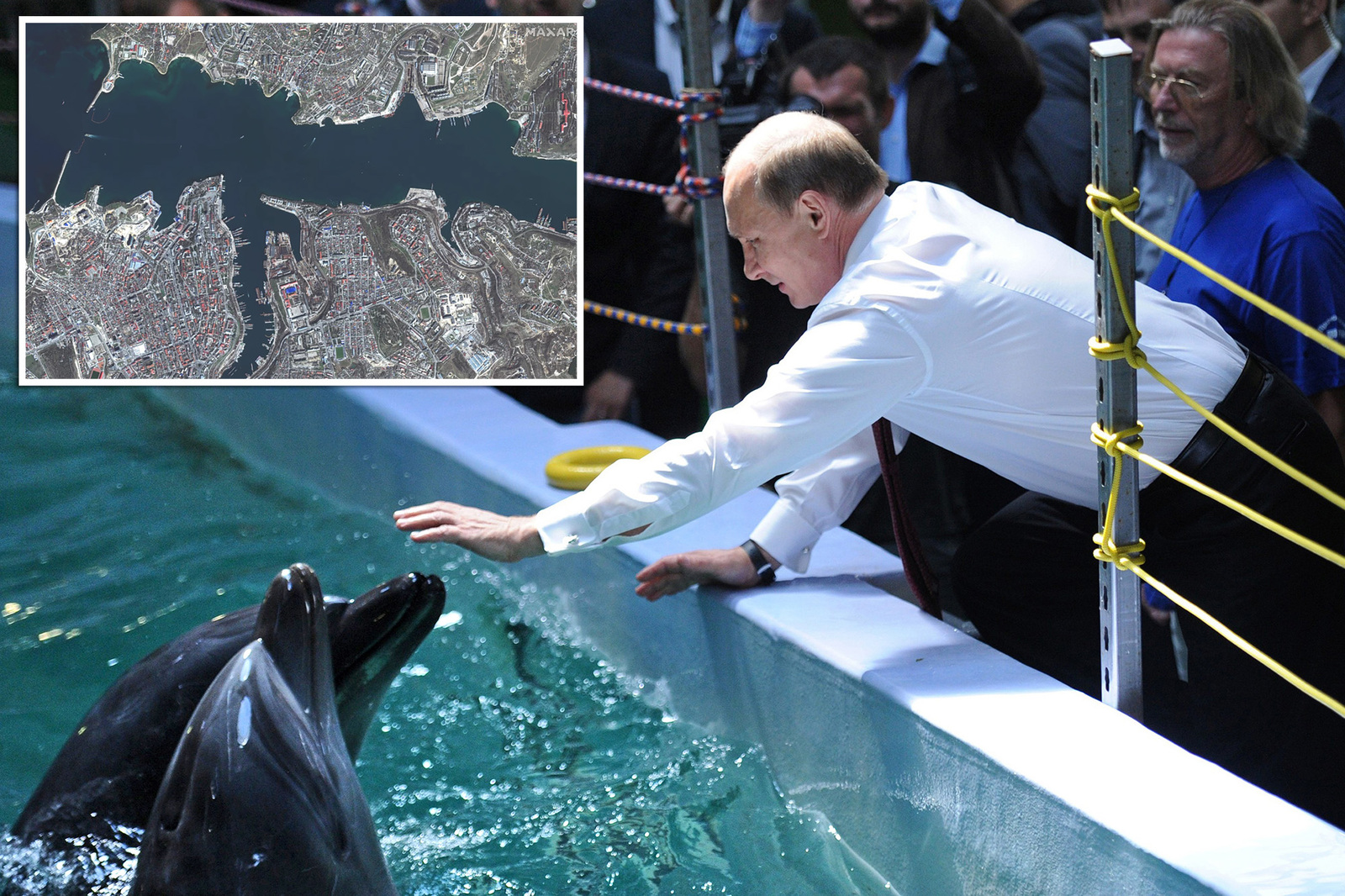 russia-dolphins-vladimir-putin-sevastopol.jpg