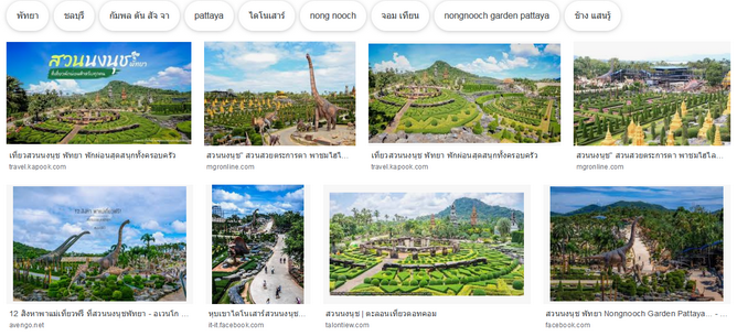 Screenshot_2019-10-25 สวนนงนุช - ค้นหาด้วย Google.png